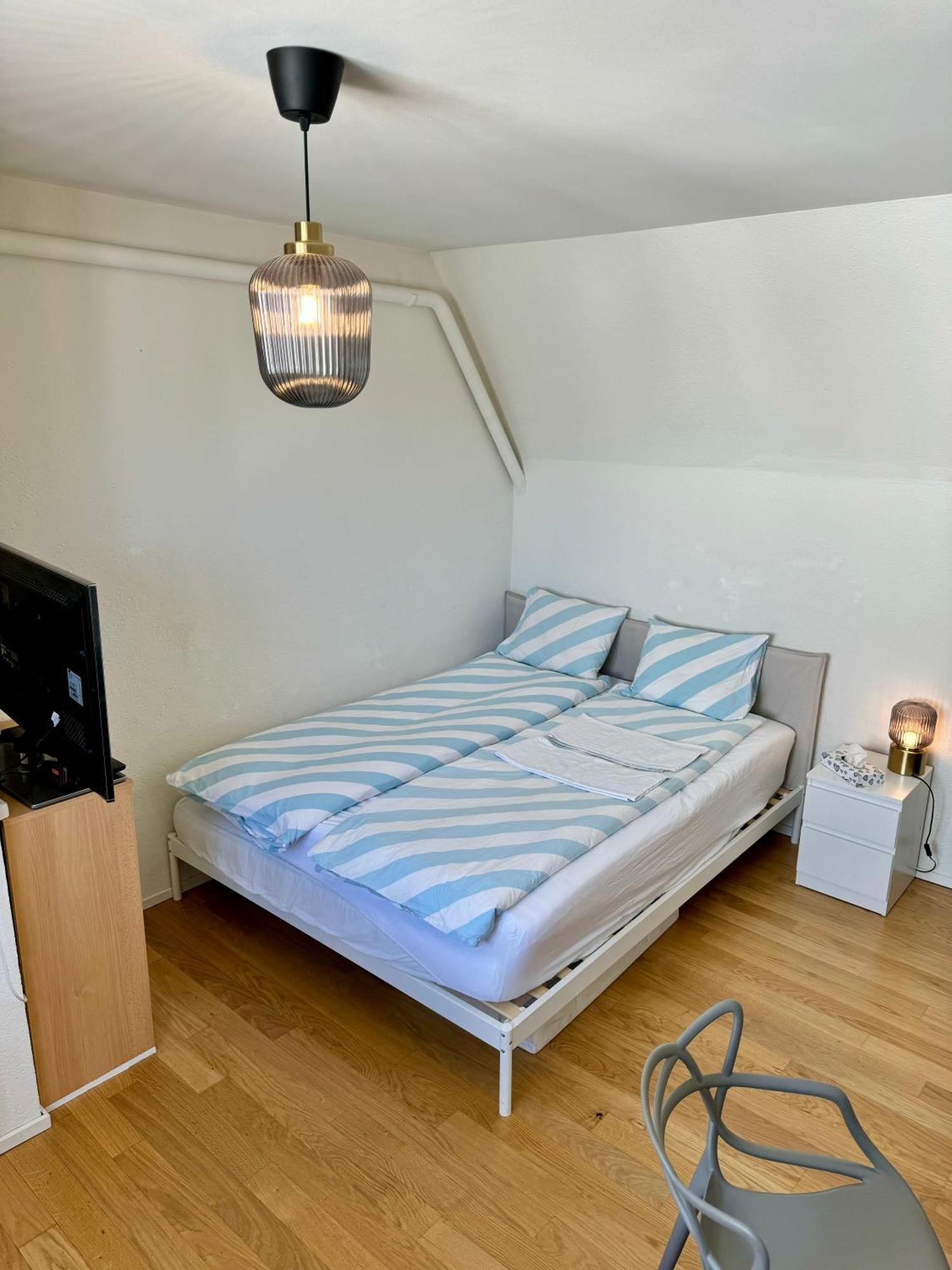 City Center Rooftop Balcony-Studio At Town Hall Basel Bagian luar foto